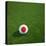 Japanese Soccerball Lying on Grass-zentilia-Stretched Canvas