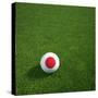 Japanese Soccerball Lying on Grass-zentilia-Stretched Canvas