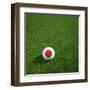 Japanese Soccerball Lying on Grass-zentilia-Framed Art Print