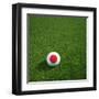 Japanese Soccerball Lying on Grass-zentilia-Framed Art Print