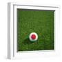 Japanese Soccerball Lying on Grass-zentilia-Framed Art Print