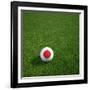 Japanese Soccerball Lying on Grass-zentilia-Framed Art Print