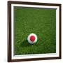 Japanese Soccerball Lying on Grass-zentilia-Framed Art Print