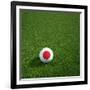 Japanese Soccerball Lying on Grass-zentilia-Framed Art Print