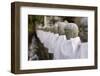 Japanese Stone Statue Ksitigarbha Bodhisattva in Garden.-elwynn-Framed Photographic Print