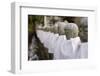 Japanese Stone Statue Ksitigarbha Bodhisattva in Garden.-elwynn-Framed Photographic Print