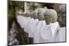 Japanese Stone Statue Ksitigarbha Bodhisattva in Garden.-elwynn-Mounted Photographic Print