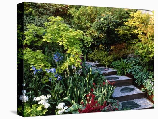 Japanese Style Garden-Vaughan Fleming-Stretched Canvas