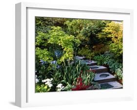 Japanese Style Garden-Vaughan Fleming-Framed Photographic Print