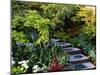 Japanese Style Garden-Vaughan Fleming-Mounted Photographic Print