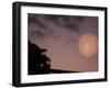 Japanese Style-Ryuji Adachi-Framed Premium Photographic Print