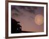 Japanese Style-Ryuji Adachi-Framed Photographic Print