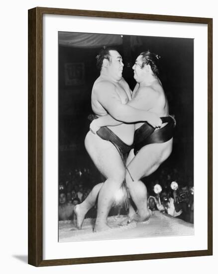 Japanese Sumo Wrestlers, Kiyoji Kagamisato and Junnosuke Yoshibayama, 1952-null-Framed Photo