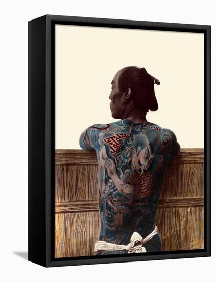 Japanese Tattoo-Kusakabe Kimbei-Framed Stretched Canvas