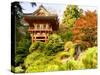 Japanese Tea Garden, Golden Gate Park, San Francisco, California, USA-Michele Westmorland-Stretched Canvas