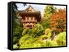 Japanese Tea Garden, Golden Gate Park, San Francisco, California, USA-Michele Westmorland-Framed Stretched Canvas