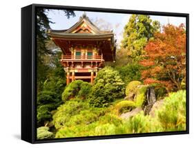 Japanese Tea Garden, Golden Gate Park, San Francisco, California, USA-Michele Westmorland-Framed Stretched Canvas