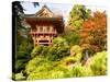 Japanese Tea Garden, Golden Gate Park, San Francisco, California, USA-Michele Westmorland-Stretched Canvas