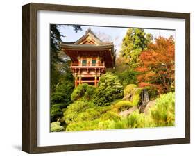 Japanese Tea Garden, Golden Gate Park, San Francisco, California, USA-Michele Westmorland-Framed Premium Photographic Print