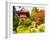 Japanese Tea Garden, Golden Gate Park, San Francisco, California, USA-Michele Westmorland-Framed Photographic Print