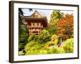 Japanese Tea Garden, Golden Gate Park, San Francisco, California, USA-Michele Westmorland-Framed Photographic Print