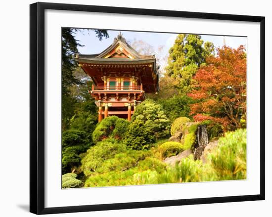 Japanese Tea Garden, Golden Gate Park, San Francisco, California, USA-Michele Westmorland-Framed Photographic Print