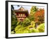 Japanese Tea Garden, Golden Gate Park, San Francisco, California, USA-Michele Westmorland-Framed Photographic Print