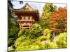 Japanese Tea Garden, Golden Gate Park, San Francisco, California, USA-Michele Westmorland-Mounted Photographic Print