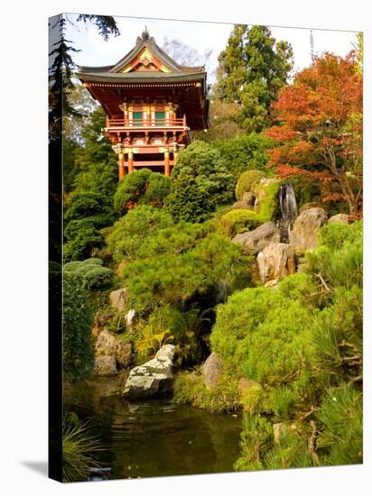 Japanese Tea Garden, Golden Gate Park, San Francisco, California, USA-Michele Westmorland-Stretched Canvas