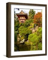 Japanese Tea Garden, Golden Gate Park, San Francisco, California, USA-Michele Westmorland-Framed Photographic Print