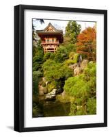 Japanese Tea Garden, Golden Gate Park, San Francisco, California, USA-Michele Westmorland-Framed Photographic Print