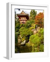 Japanese Tea Garden, Golden Gate Park, San Francisco, California, USA-Michele Westmorland-Framed Photographic Print