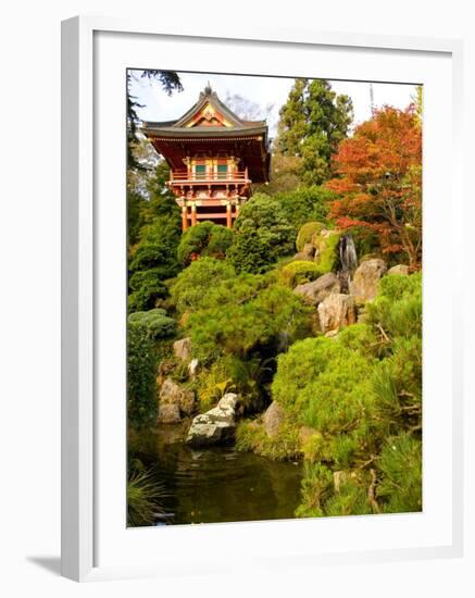 Japanese Tea Garden, Golden Gate Park, San Francisco, California, USA-Michele Westmorland-Framed Photographic Print