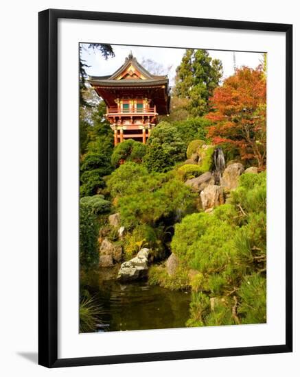 Japanese Tea Garden, Golden Gate Park, San Francisco, California, USA-Michele Westmorland-Framed Photographic Print