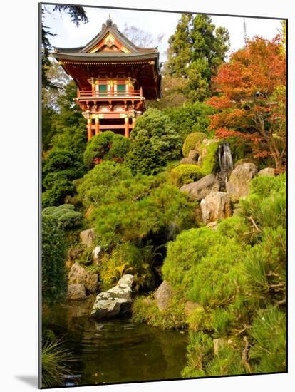 Japanese Tea Garden, Golden Gate Park, San Francisco, California, USA-Michele Westmorland-Mounted Photographic Print