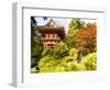 Japanese Tea Garden, Golden Gate Park, San Francisco, California, USA-Michele Westmorland-Framed Photographic Print