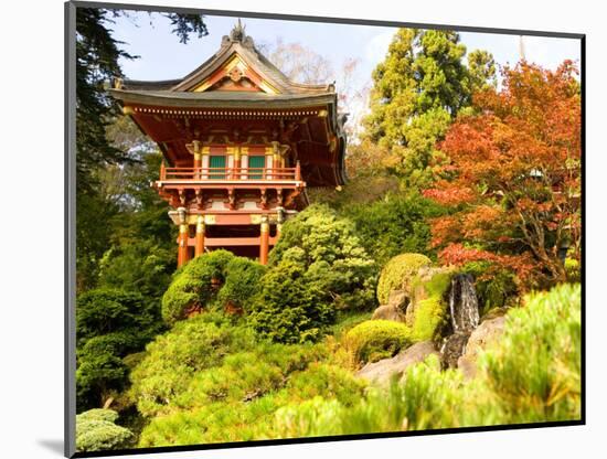 Japanese Tea Garden, Golden Gate Park, San Francisco, California, USA-Michele Westmorland-Mounted Photographic Print