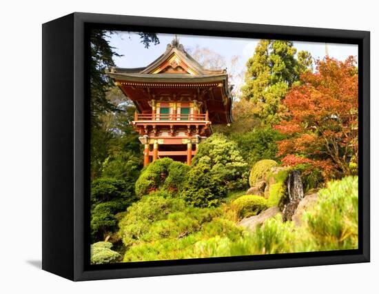 Japanese Tea Garden, Golden Gate Park, San Francisco, California, USA-Michele Westmorland-Framed Stretched Canvas