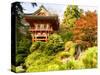 Japanese Tea Garden, Golden Gate Park, San Francisco, California, USA-Michele Westmorland-Stretched Canvas