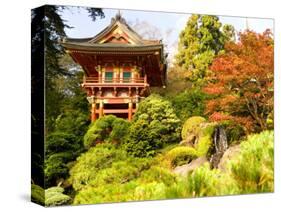 Japanese Tea Garden, Golden Gate Park, San Francisco, California, USA-Michele Westmorland-Stretched Canvas