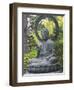 Japanese Tea Garden, Golden Gate Park, San Francisco, California, Usa-Rob Tilley-Framed Photographic Print