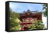 Japanese Tea Garden, Golden Gate Park, San Francisco, California-Susan Pease-Framed Stretched Canvas