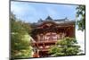 Japanese Tea Garden, Golden Gate Park, San Francisco, California-Susan Pease-Mounted Photographic Print