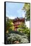 Japanese Tea Garden, Golden Gate Park, San Francisco, California-Susan Pease-Framed Stretched Canvas