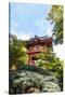 Japanese Tea Garden, Golden Gate Park, San Francisco, California-Susan Pease-Stretched Canvas