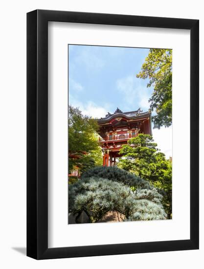 Japanese Tea Garden, Golden Gate Park, San Francisco, California-Susan Pease-Framed Photographic Print