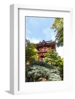 Japanese Tea Garden, Golden Gate Park, San Francisco, California-Susan Pease-Framed Photographic Print