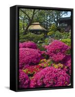 Japanese Tea Garden, Golden Gate Park, San Francisco-Anna Miller-Framed Stretched Canvas