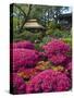 Japanese Tea Garden, Golden Gate Park, San Francisco-Anna Miller-Stretched Canvas