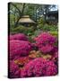 Japanese Tea Garden, Golden Gate Park, San Francisco-Anna Miller-Stretched Canvas